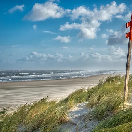 Rosenhuus Gartenrose