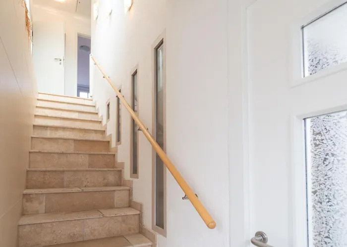 Rosenhuus Gartenrose * 斯匹科罗格