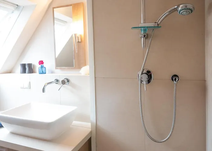 Rosenhuus Gartenrose