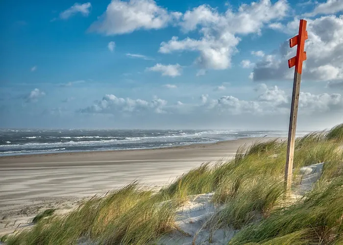 Rosenhuus Gartenrose